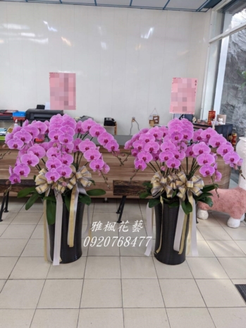 粉色系一盆4300元，二盆8000元起，蝴蝶蘭花盆栽員林花店送喪家服務