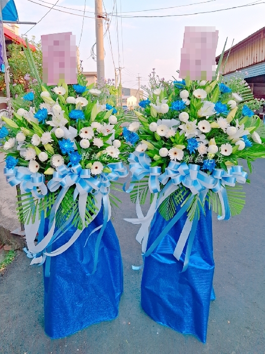 產品 EB504 開幕蝴蝶蘭 台中西區 雅楓花店