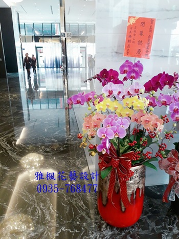 南投縣國姓鄉花店，開幕祝賀蘭花盆栽南投縣埔里鎮花店