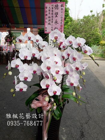 彰化縣埔心鄉花店，追思蘭花盆栽彰化花店