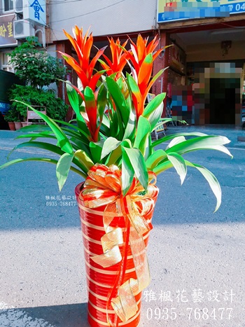 二水花店，賀禮盆栽彰化花店，埔心花店