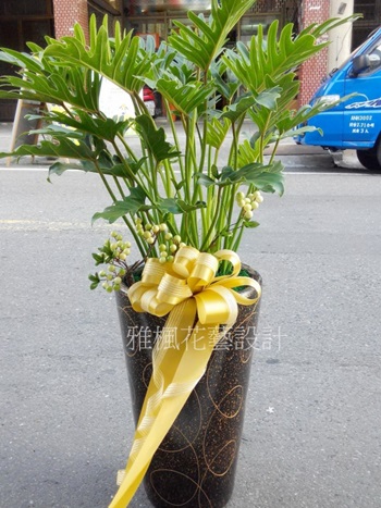 和美花店，開幕盆栽推薦斗南花店