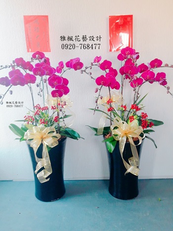 展覽演出蘭花盆栽斗南花店，開幕蘭花盆栽西螺花店
