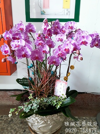 虎尾花店，展覽蘭花盆栽彰化花店