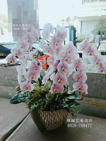 芬園花店，蘭花盆栽推薦伸港花店
