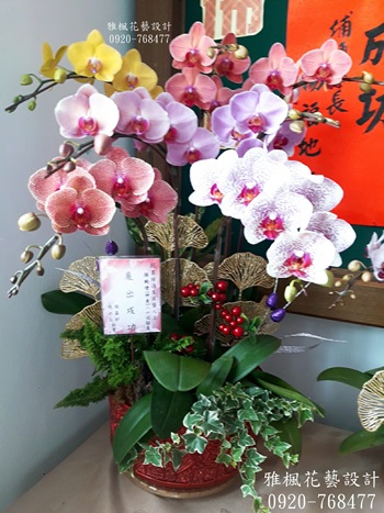 竹塘花店，祝賀新婚蘭花盆栽芳苑花店
