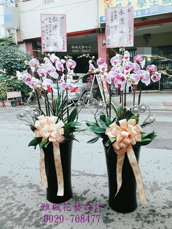 草屯花店，喪禮用蘭花盆栽名間花店