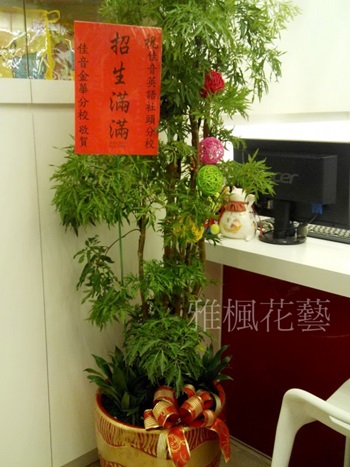 大型富貴樹盆栽_大方!!高貴!!南投花店