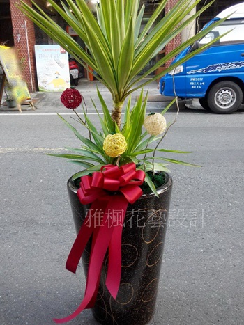 竹塘鄉花店_芳苑鄉花店_開幕賀禮盆栽田中鎮花店