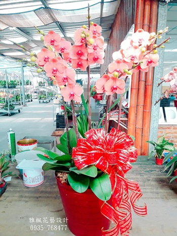 埤頭花店_田尾花店