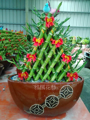 開幕祝賀盆栽台中市龍井區花店，台中市石岡區花店盆栽外送開幕場合