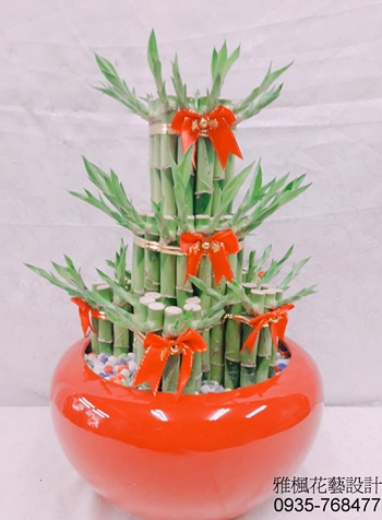 鹿港開幕盆栽_彰化縣田尾鄉花店新居落成祝賀盆栽，親戚開店送盆栽推薦彰化縣溪湖鎮花店