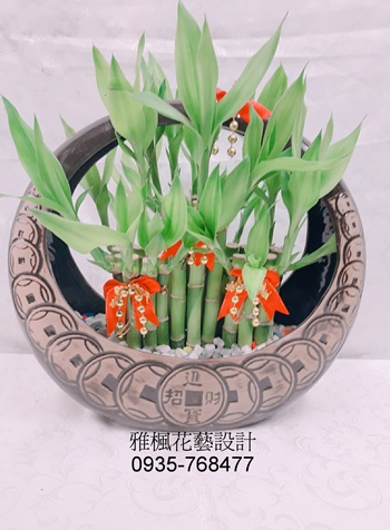 彰化縣伸港鄉花店，新居落成開運竹盆栽彰化縣大村鄉花店
