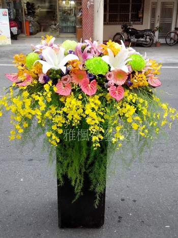 雲林縣口湖鄉花店，賀禮盆花雲林縣元長鄉花店