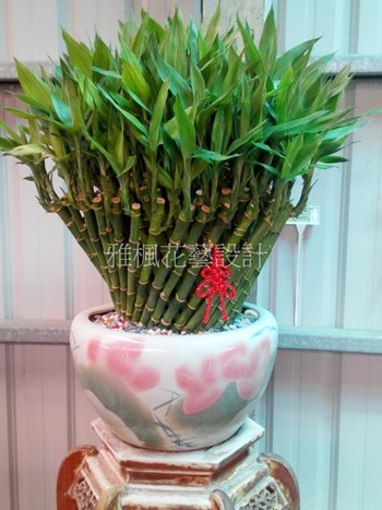 溪州花店