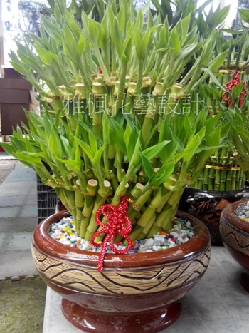 大城鄉花店
