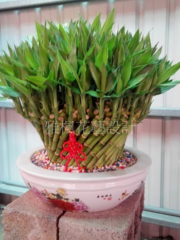 彰化市花店