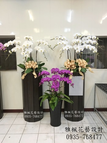 喪禮蘭花盆栽福興鄉花店，埔鹽鄉花店