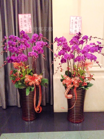 員林花店_雅楓花藝設計彰化花店_開店賀禮蘭花盆栽元長花店