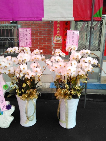 斗六花店，虎尾花店，斗南花店敬奠蘭花盆栽
