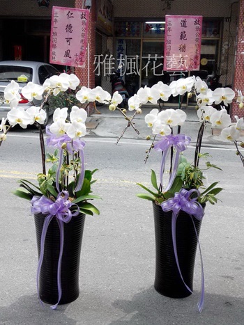二崙花店_彰化花店_雅楓花藝設計送喪宅蘭花盆栽
