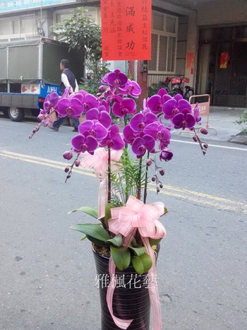 口湖花店，員林市雅楓花店，水林花店