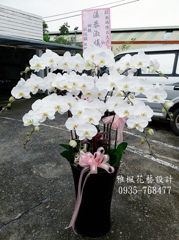 喪禮蘭花盆栽雲林縣四湖鄉花店，雲林縣斗南鎮花店