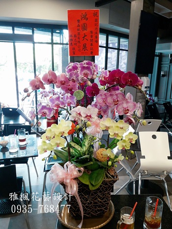 雲林縣元長鄉花店當選蘭花盆栽，雲林縣崙背鄉花店總部成立蘭花盆栽