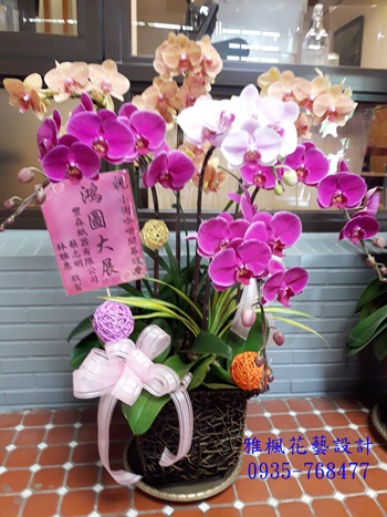 榮升誌慶蘭花盆栽雲林縣古坑鄉花店，雲林縣土庫鎮花店