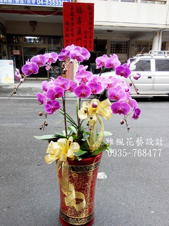 竹塘鄉花店榮陞誌慶送蘭花_追思蘭花盆栽埤頭鄉花店