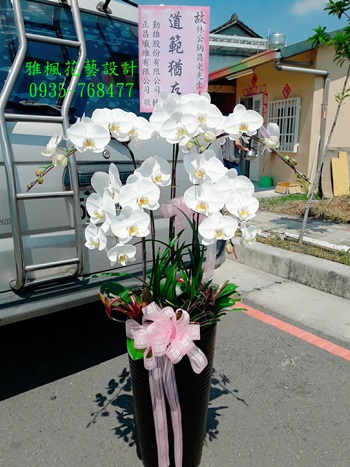 北斗鎮花店_喪禮蘭花盆栽推薦雅楓花鄉花藝設計員林市花店