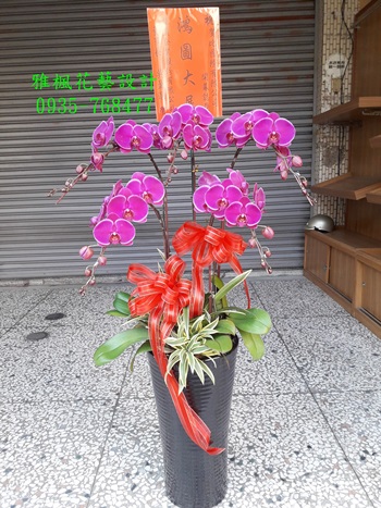 竹塘花店蘭花盆栽新廠落成，彰化縣溪州鄉花店開幕蘭花盆栽外送服務