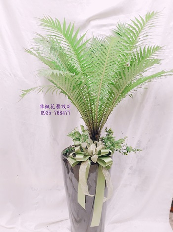 南投市花店，開店送盆栽草屯鎮花店