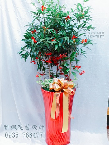彰化縣鹿港鎮花店開幕盆栽外送免運費熱銷中