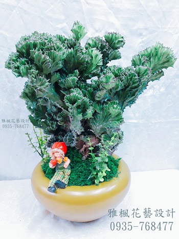 春風盆栽_給喜愛獨特的你_雲林花店提供外送服務0935768477