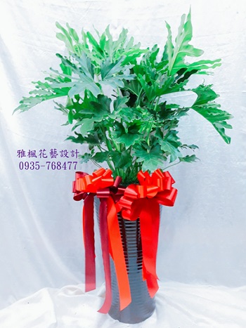 二水花店，大村花店升官送花盆栽推薦