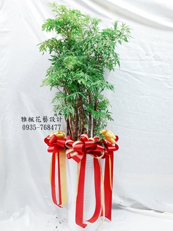 開幕盆栽雲林縣西螺鎮花店，雲林縣大埤鄉花店開店送盆栽推薦0920-768477