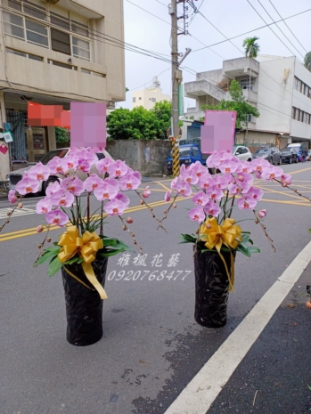 喪禮蘭花盆栽外送南投縣民間鄉立殯儀館罐頭山_蘭花_追思花籃外送
