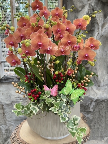 台中蘭花盆栽送開幕