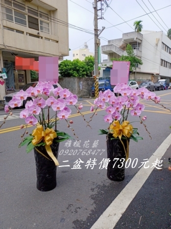 台中蓮心堂 台中東海殯儀館停車場附近